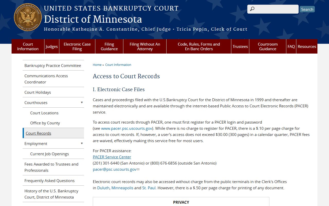 Mower County court dockets bankruptcy court record access distinction