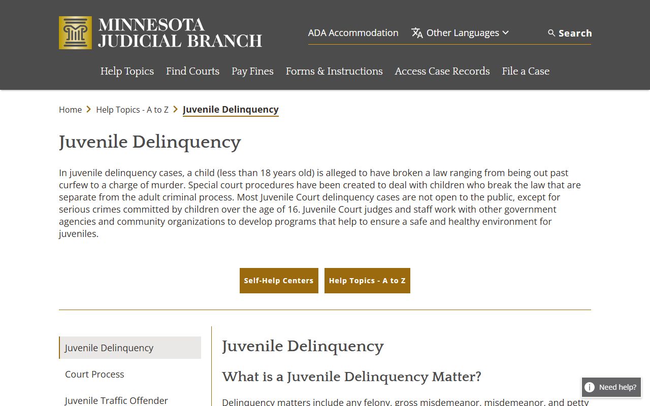 Mower County criminal court records and juvenile delinquency access limits