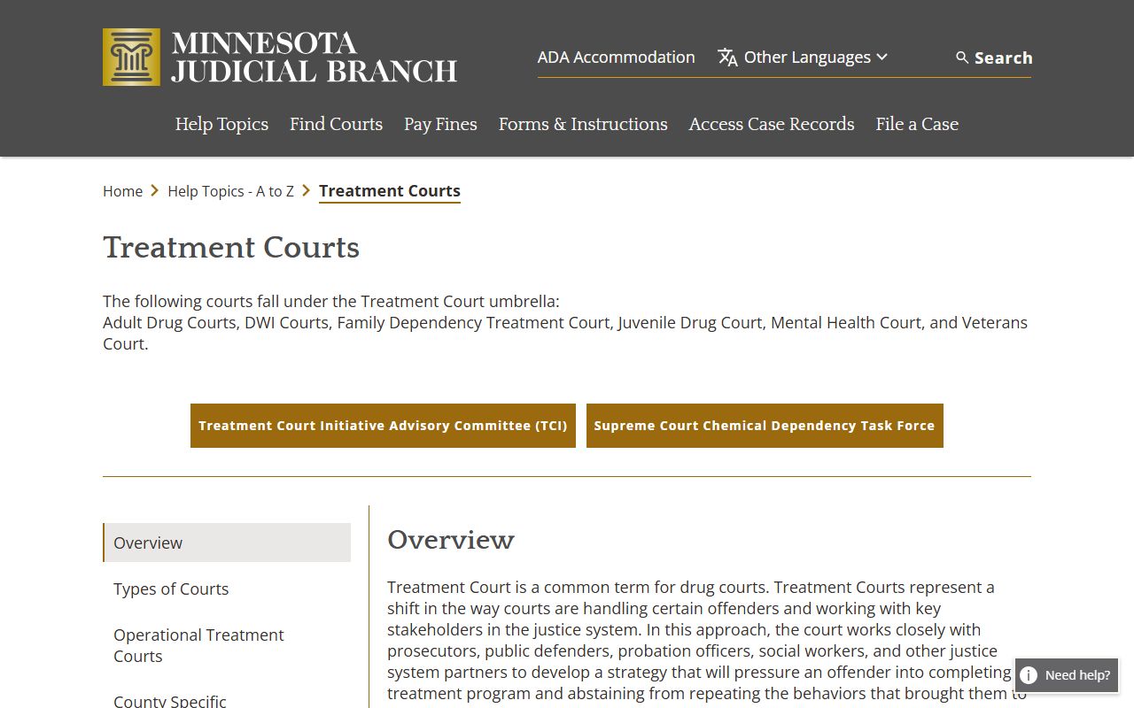 Mower County District Court treatment court overview