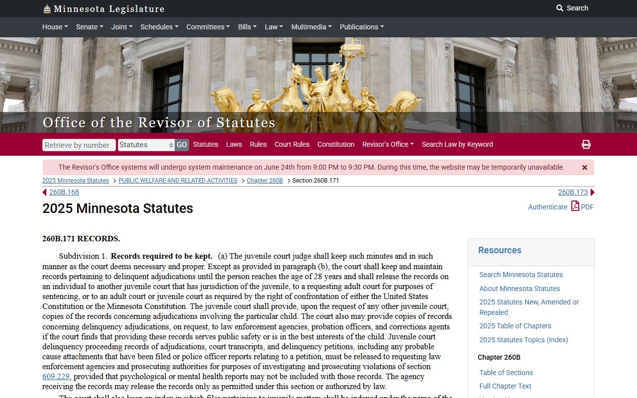 Mower County probate records Minnesota juvenile privacy statute context